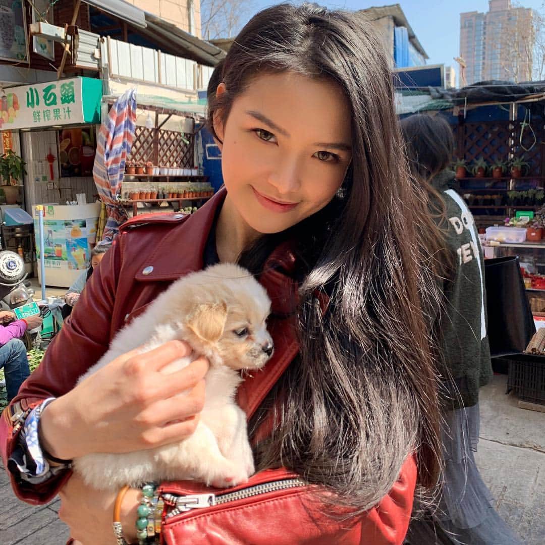 Janie W.さんのインスタグラム写真 - (Janie W.Instagram)「Saving one animal won’t change the world,  but for that one animal the world will change forever. 🐾 ❤️ #adoptdontshop」3月20日 13時33分 - janienyc