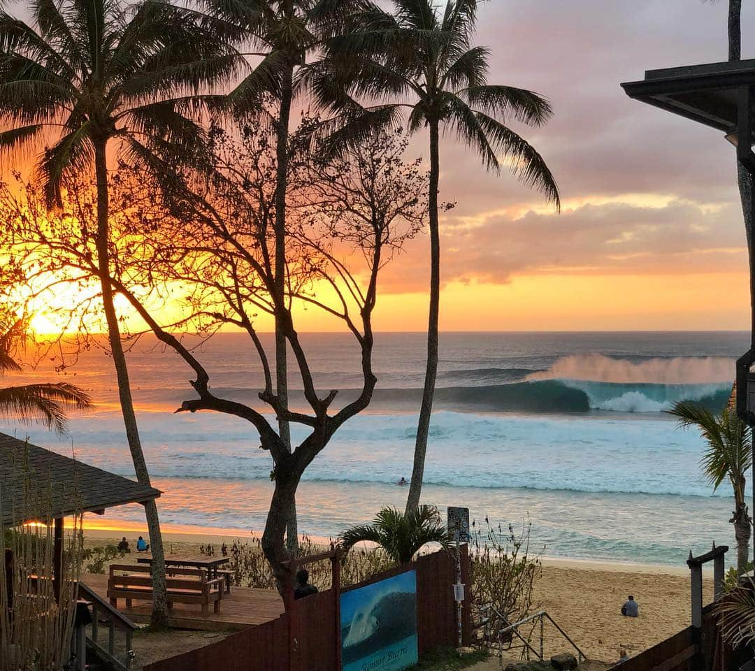 ジェイミー・オブライエンさんのインスタグラム写真 - (ジェイミー・オブライエンInstagram)「It was a beautiful day in Hawaii 🤙🏼」3月20日 13時50分 - whoisjob