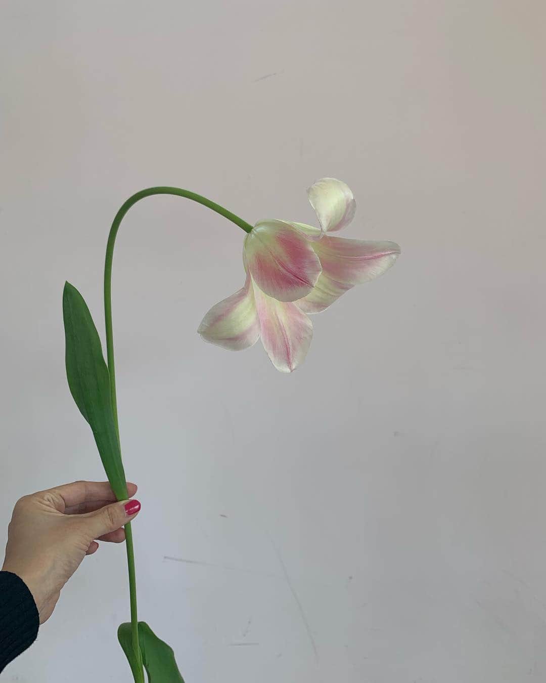 花盛友里のインスタグラム