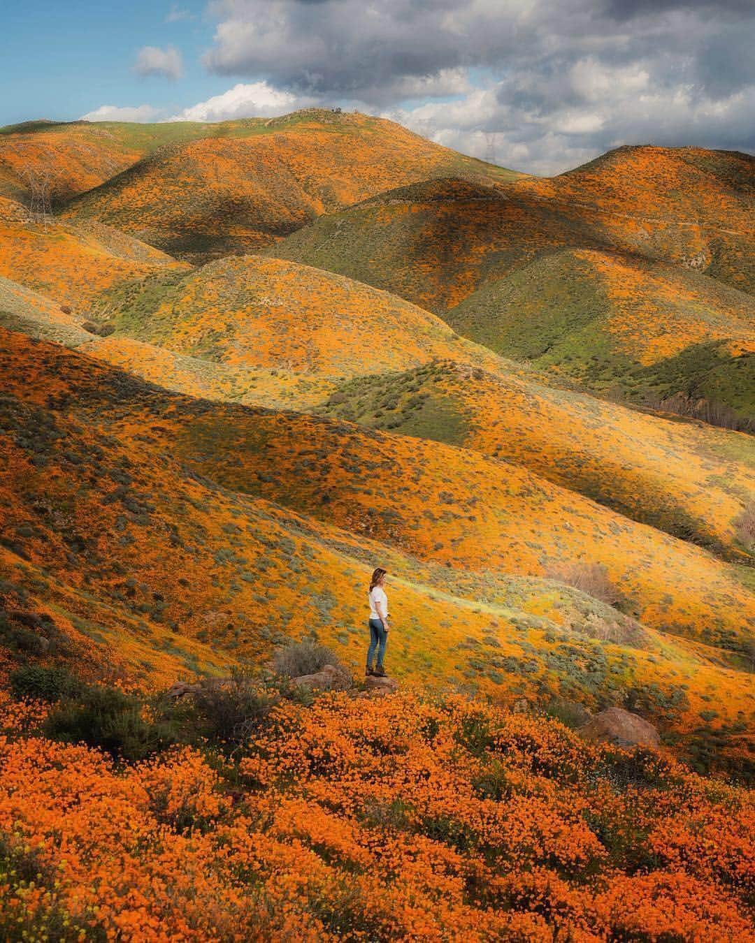 BEAUTIFUL DESTINATIONSさんのインスタグラム写真 - (BEAUTIFUL DESTINATIONSInstagram)「"Still trying to process the magnitude of the flower bloom that @jess.wandering and I walked thru today. I’ll never forget seeing the neon orange hills from miles away on the drive in." -@everchanginghorizon. Have you seen the beauty of the Southern California #superbloom? If you plan to visit, please stay on the path and do not trample the flowers so their wonder can be enjoyed by all. (📷: @everchanginghorizon  and @jess.wandering 📍: Lake Elsinore, California )」3月20日 5時31分 - beautifuldestinations