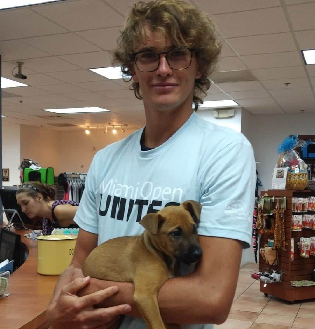 ATP World Tourさんのインスタグラム写真 - (ATP World TourInstagram)「It may be a rainy day here at the @MiamiOpen but @alexzverev123 has brought some ☀️ to the city.  This is Pop a two month old rescue 🐶 from @humanesocietymiami. Pop will be transported to Monte Carlo to live with Sascha and his family ❤️ . . #ATPTour #Zverev #Rescuedogs #dogs #instasports #dogsofinstagram #instadog」3月20日 5時47分 - atptour