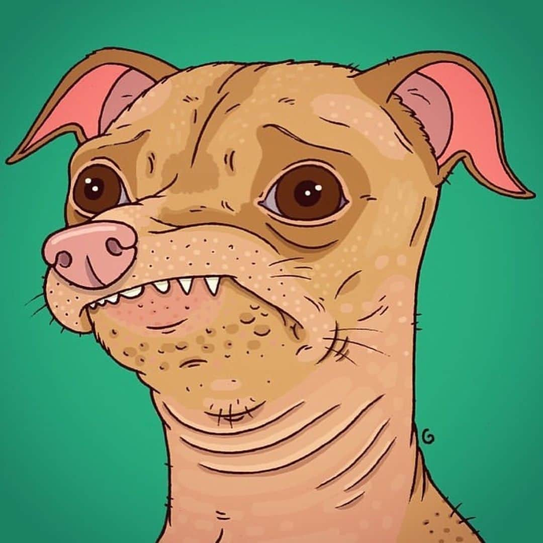 Tuna {breed:chiweenie} さんのインスタグラム写真 - (Tuna {breed:chiweenie} Instagram)「Keeping with the St. Patrick’s Day green theme for #tunartuesdays and because I just love this #tunainterpretations by @thegrossuncle of my #toodlebrain.」3月20日 6時10分 - tunameltsmyheart