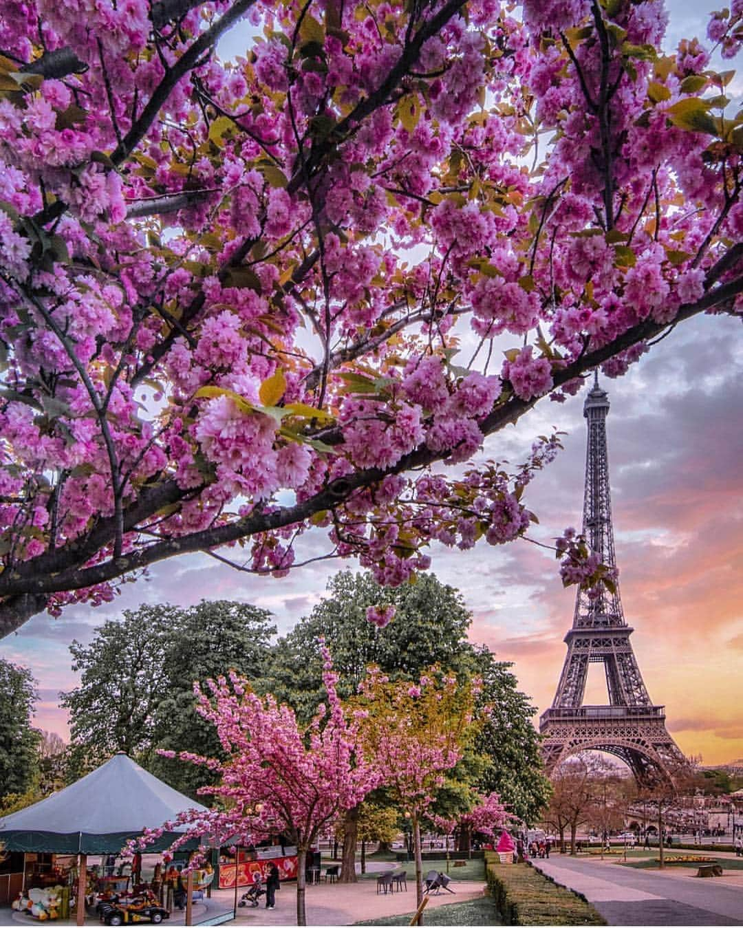 Wonderful Placesさんのインスタグラム写真 - (Wonderful PlacesInstagram)「Spring in Paris ✨🌸🌸🌸✨ . Picture by ✨✨@marc_nouss✨✨ #wonderful_places for a feature 💖」3月20日 6時21分 - wonderful_places