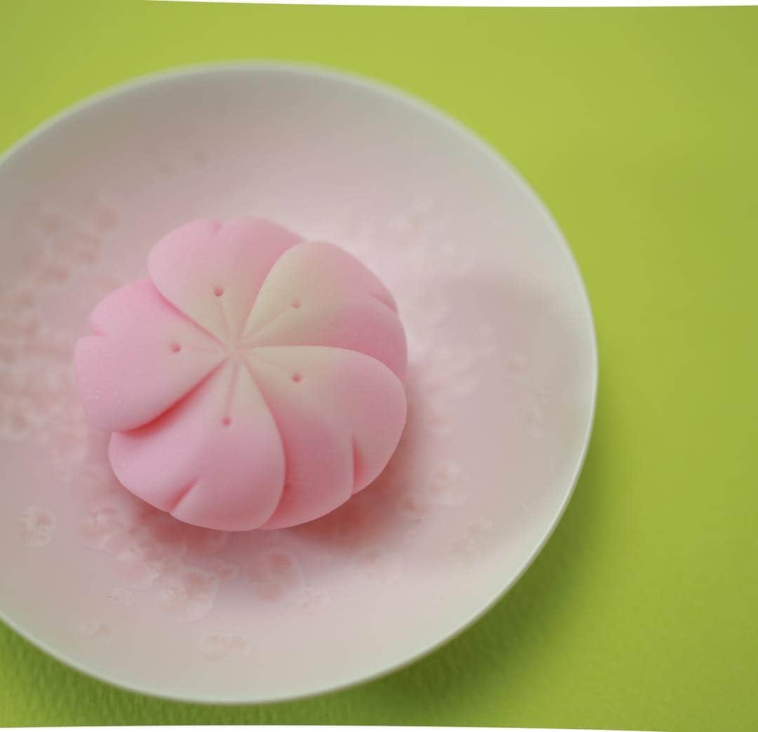 Toru Tsuchieさんのインスタグラム写真 - (Toru TsuchieInstagram)「今日の和菓子はねりきりで作った桜花です。 ねりきりとは白餡に餅や芋を混ぜて作った和菓子で 茶道 で使われる「主菓子」の一種です。 撮影 用に作成しました。 やらなきゃいけない事があるような気がします。 少しずつ片付けなくては… フェイスブックページのいいね！もよろしくお願いします。 https://www.facebook.com/shishisu/ Today's wagashi is Cherry Blossoms with Nerikiri. The Nerikiri is the material of wagashi made by mixing the rice cake and yam in white bean. Is a kind of "Jounamagashi" as used in the tea ceremony. The sweets I've made for the shooting. #Hermoso #福泉堂  #和菓子  #Милий #wagashi  #instafood #出雲  #きれい #カメラ好きな人と繋がりたい  #写真好きな人と繋がりたい　 #Japan_of_insta #和スイーツ #handmade　 #جميل #Japan #wagashi  #красивый #器  #blossom #Linda #ig_color  #일본디저트  #Mignon  #igfood #craftsman #camera #桜 #สวย #sweets #kawaii」3月20日 6時26分 - choppe_tt
