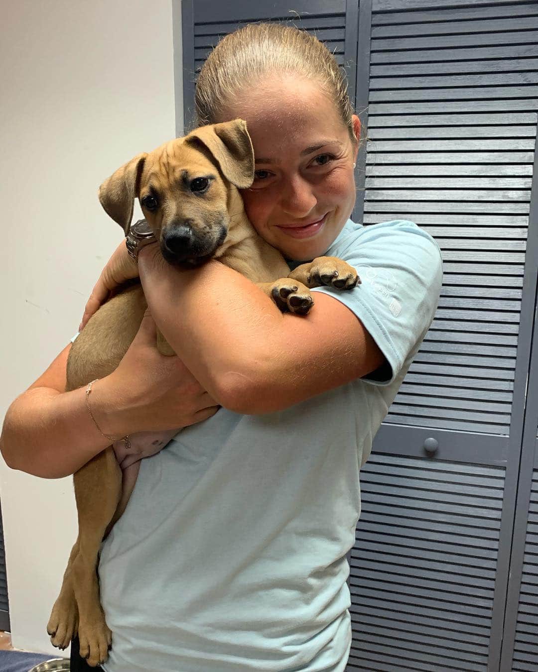 WTA（女子テニス協会）さんのインスタグラム写真 - (WTA（女子テニス協会）Instagram)「Too much cuteness at the @humanesocietymiami 🐶😄 #MiamiUnites」3月20日 7時19分 - wta