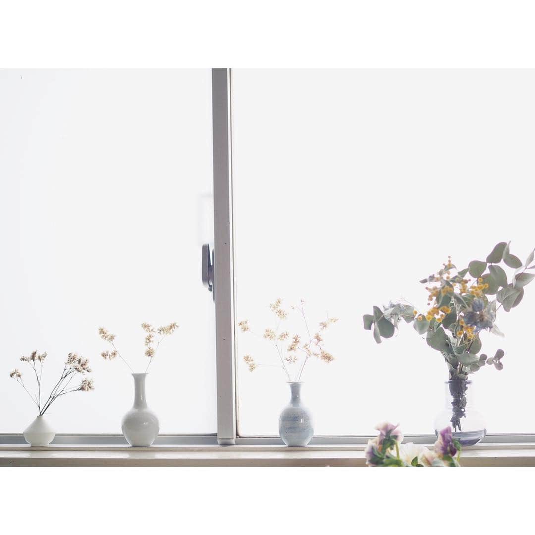 高山都さんのインスタグラム写真 - (高山都Instagram)「今週の窓辺は、春の野花たちを。 撮影現場でいただいたお花たちを、一度ばらして、色んな花瓶と並べて、どれにどう合わせようか、どんな長さにしようか考える時間も楽しかったなー。 陽射しがやわらかいけど、もうちゃんと強い。 春ですね。 今日も元気に頑張ろう。」3月20日 7時37分 - miyare38
