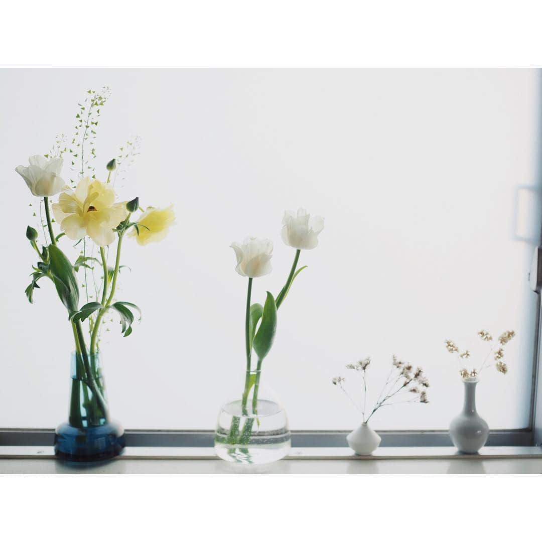 高山都さんのインスタグラム写真 - (高山都Instagram)「今週の窓辺は、春の野花たちを。 撮影現場でいただいたお花たちを、一度ばらして、色んな花瓶と並べて、どれにどう合わせようか、どんな長さにしようか考える時間も楽しかったなー。 陽射しがやわらかいけど、もうちゃんと強い。 春ですね。 今日も元気に頑張ろう。」3月20日 7時37分 - miyare38
