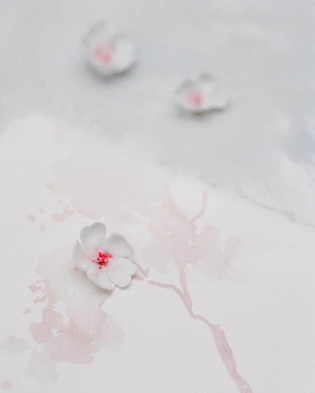 Veronica Halimさんのインスタグラム写真 - (Veronica HalimInstagram)「This spring again Blossoms gather  Where you are — @miemaemade’s sugar art on my watercolor drawing. 📷: @gregfinck  For @autumnandmeadow — #truffypi #vhcalligraphy #autumnandmeadow #styledshoot #fineartwedding #calligraphy #spring #autumnandmeadow #japanspring #styling #tokyostyling #wabisabi #tabledecor #invitationdesign #weddinginvitation #weddingstationary #stylemepretty #bridestory #oncewed #ウェディング前撮り #花嫁 #結婚 #結婚式 #春婚 #結婚式準備」3月20日 7時39分 - truffypi