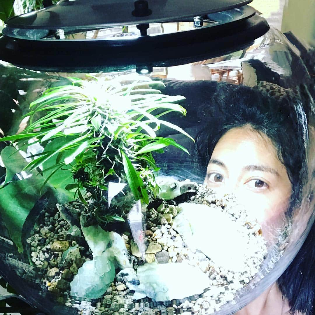 森泉さんのインスタグラム写真 - (森泉Instagram)「My bubble plant🌱」3月20日 7時44分 - izumi.mori