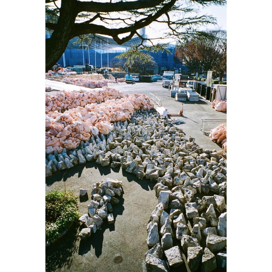 上田唯人さんのインスタグラム写真 - (上田唯人Instagram)「📷 - 今回の走るひとはこの桜のような写真から始まります。 - - - #走るひと #走るひと6」3月20日 9時03分 - yuito_ueda