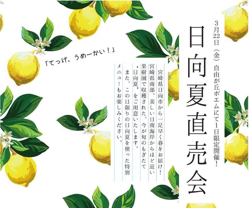 カフェ ラ・ボエムのグルメインスタ