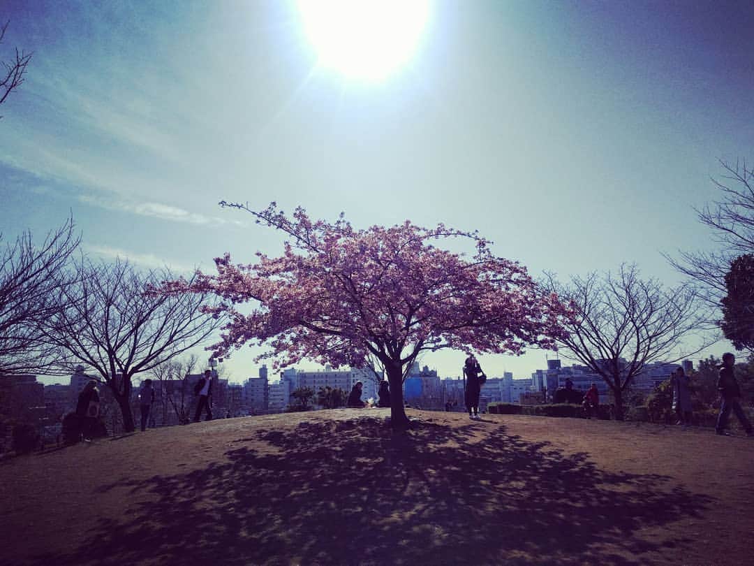越中睦士さんのインスタグラム写真 - (越中睦士Instagram)「春のファンミは 今週の金曜 受け付け終了です！ お早めに👀🌸」3月20日 11時00分 - makotokoshinaka