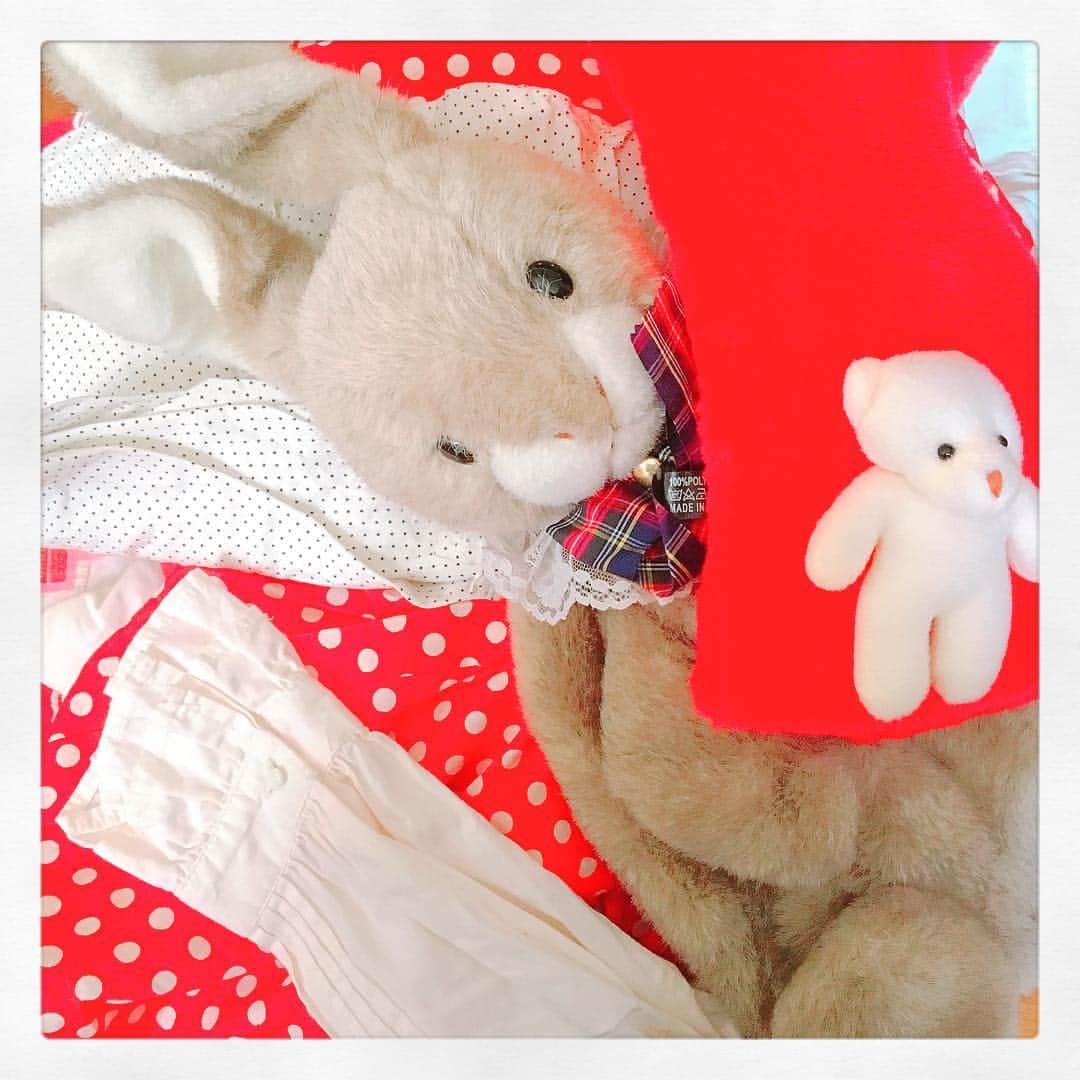 甘楽さんのインスタグラム写真 - (甘楽Instagram)「今日着ようと思ってる服がすでに可愛い」3月20日 11時19分 - n__feni
