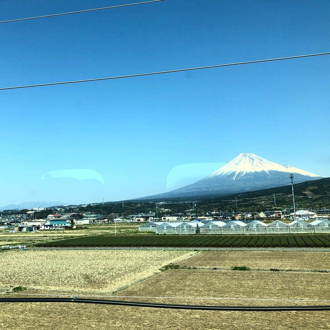 山本浩未さんのインスタグラム写真 - (山本浩未Instagram)「西へ 🚅 #東海道新幹線」3月20日 11時23分 - hiromicoy