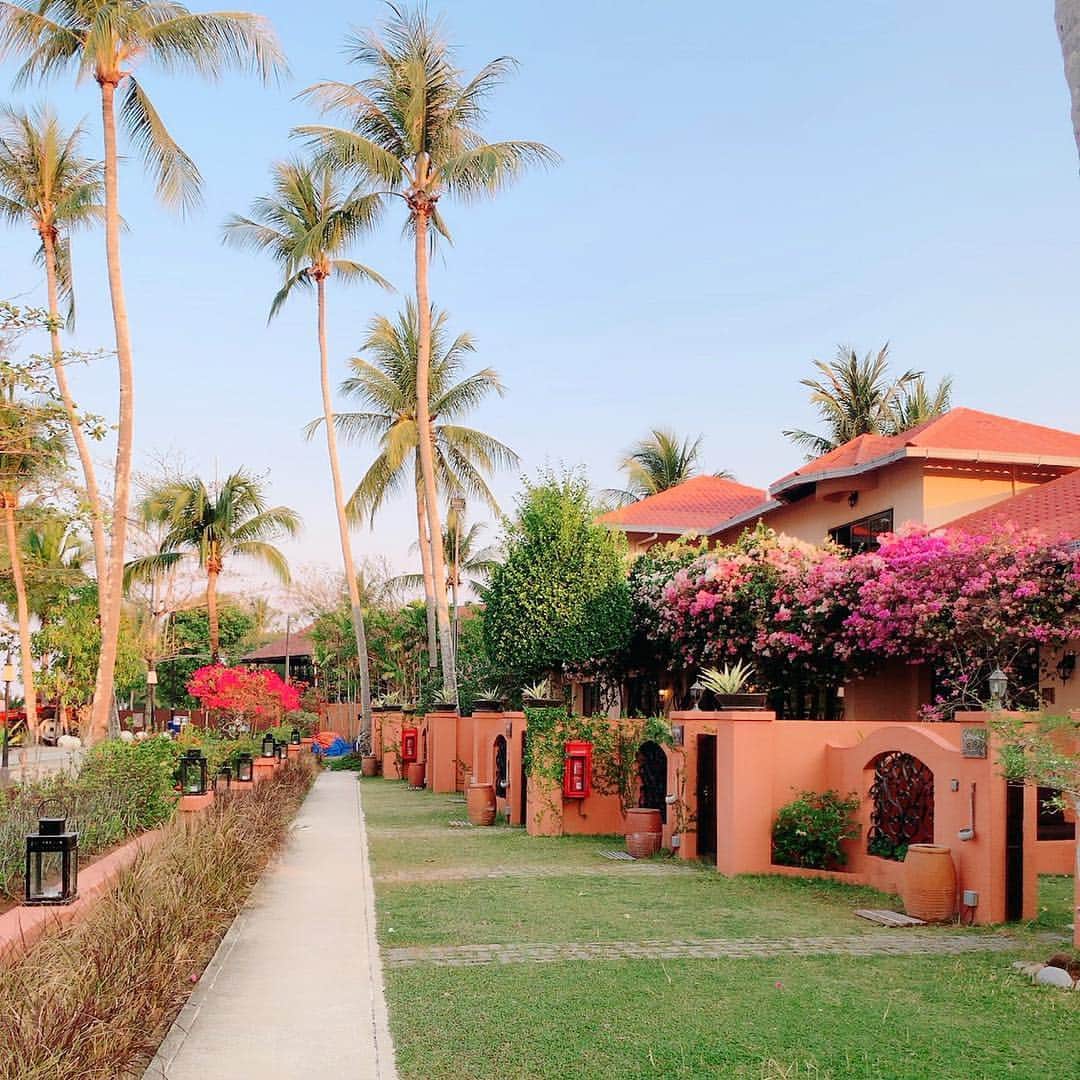 坂田陽子さんのインスタグラム写真 - (坂田陽子Instagram)「Malaysiaの西側に位置するリゾート、ランカウイ島に行ってきました。  初日、2日目とお世話になったのは 賑やかな #パンタイチェナンロード 沿いにあるこぢんまりとしたおこもり感溢れるホテル。地中海風のピンクの壁が可愛らしい CASA del MAR ・ フロントを抜けると中庭に緑とプルメリアの花に彩られたプールやBARがあり、 その先には白い砂浜が続くエメラルドグリーンに輝くプライベートビーチ🏖 一瞬で、この旅が特別なものになるなぁ、って感じた😆 ・ ・ #casadelmar #malaysiamagazine  #thanks #malaysia #マレーシア #langkawi #ランカウイ  #resort #island #trip #旅 #beachfront #beachbar #おこもり感 #こぢんまり  #resorthotel」3月20日 11時43分 - yokosakata