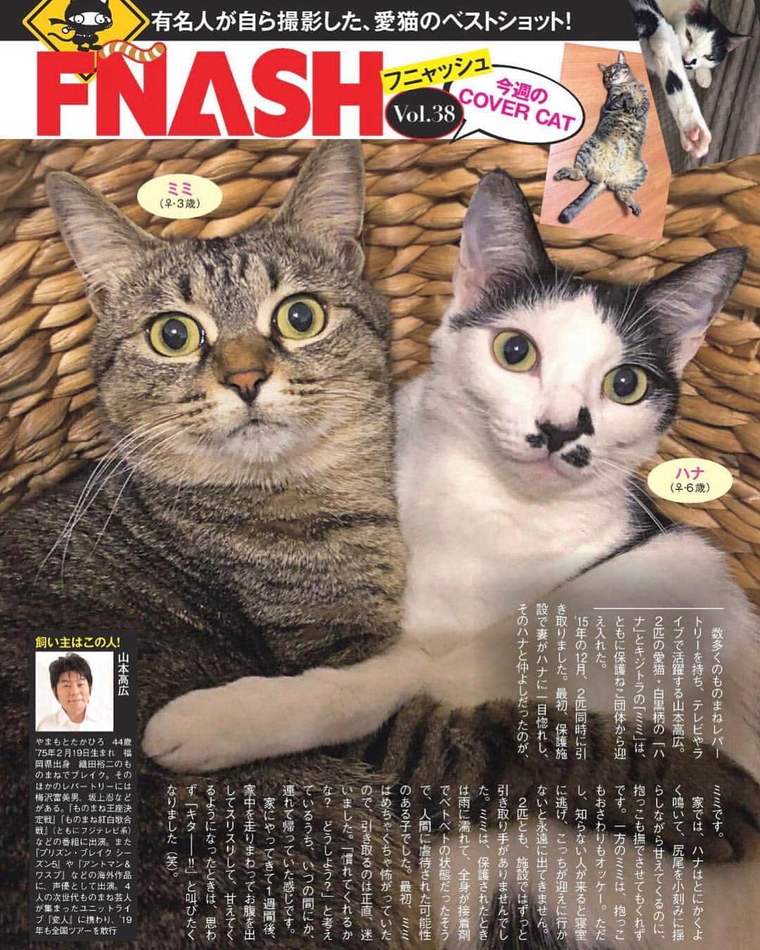 山本高広さんのインスタグラム写真 - (山本高広Instagram)「ハナ&ミミ雑誌デビュー😻 #FLASH #FNASH #デビュー #猫」3月20日 12時15分 - _yamamoto_takahiro_