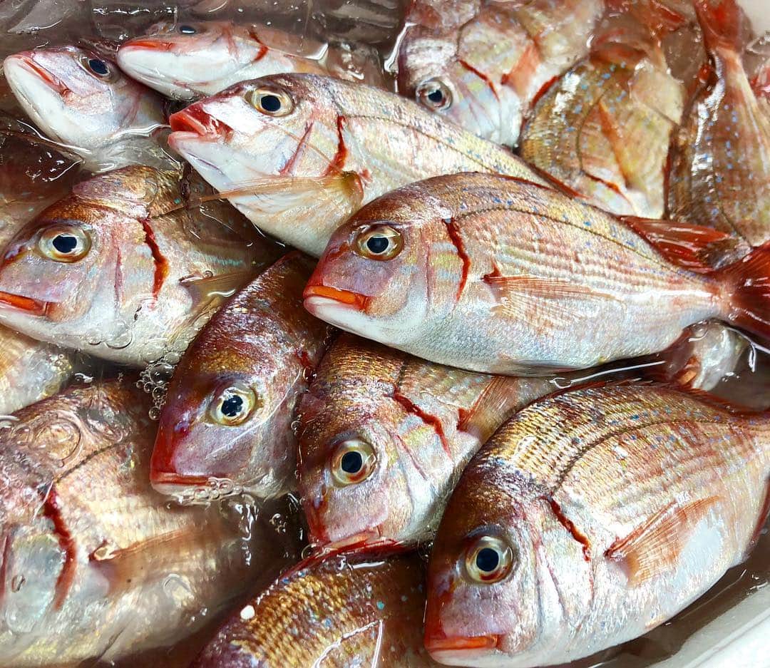 寿司居酒屋 番屋のグルメインスタ