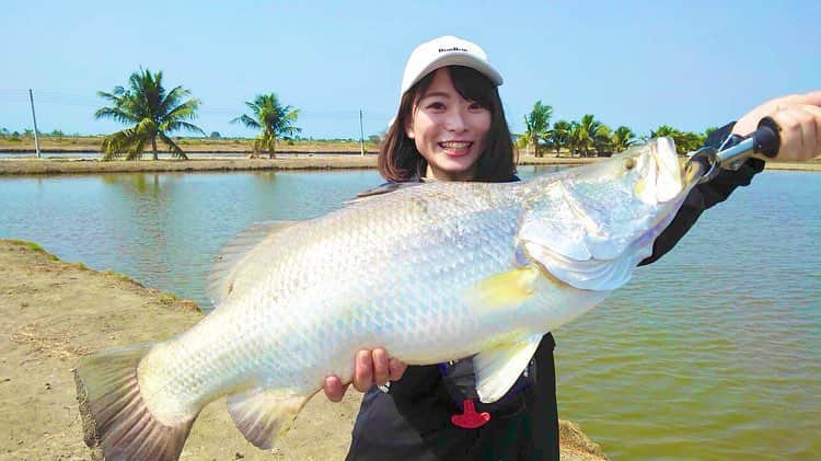 高本采実さんのインスタグラム写真 - (高本采実Instagram)「🐟 ルアルアチャンネル 特別編‼️ 今夜22:30〜〔サンテレビ〕 【バンコクフィッシングツアーレポート】  つり具のブンブンスタッフ&ツアー参加者のみなさんと一緒に 釣りをしながらカメラを回し、 スーパーディレクターやスタッフさんが 素人による撮影素材だけで編集を仕上げた  特別なこの放送回を、 どうぞお見逃しなく！！(*ﾟーﾟ*) . 〰️〰️〰️〰️〰️〰️〰️〰️〰️〰️〰️ 放送日 ◆サンテレビ  3/20 22:30〜23:00 ◆テレビ神奈川  3/21  26:30〜27:00 ◆YouTube  3/28 日中 〰️〰️〰️〰️〰️〰️〰️〰️〰️〰️〰️ . . location ◆ボーブンマーレイク (boon mar pond) ◆ブンサムランフィッシングパーク(bungsamran) ◆ITアマゾンレイク(IT Lake Monster Fishing) . . . #ルアルアチャンネル #つり具のブンブン #BunBun #ブンブンガール #フリーライドアングラーズ #バンコク #バラマンディ #メコンオオナマズ #レッドテールキャットフィッシュ #barramundi #ボーブンマー #ブンサムラン #ITアマゾン #boonmarpond #bungsamran #amazon #高本采実 #釣りガール #釣り女子 #釣り人 #fishing #fishinggirl #ルアー #lure #怪魚ハンター #釣り好き #釣り日和 #釣りスタグラム #釣りフォト #ayamistagram」3月20日 12時32分 - ayami__summer