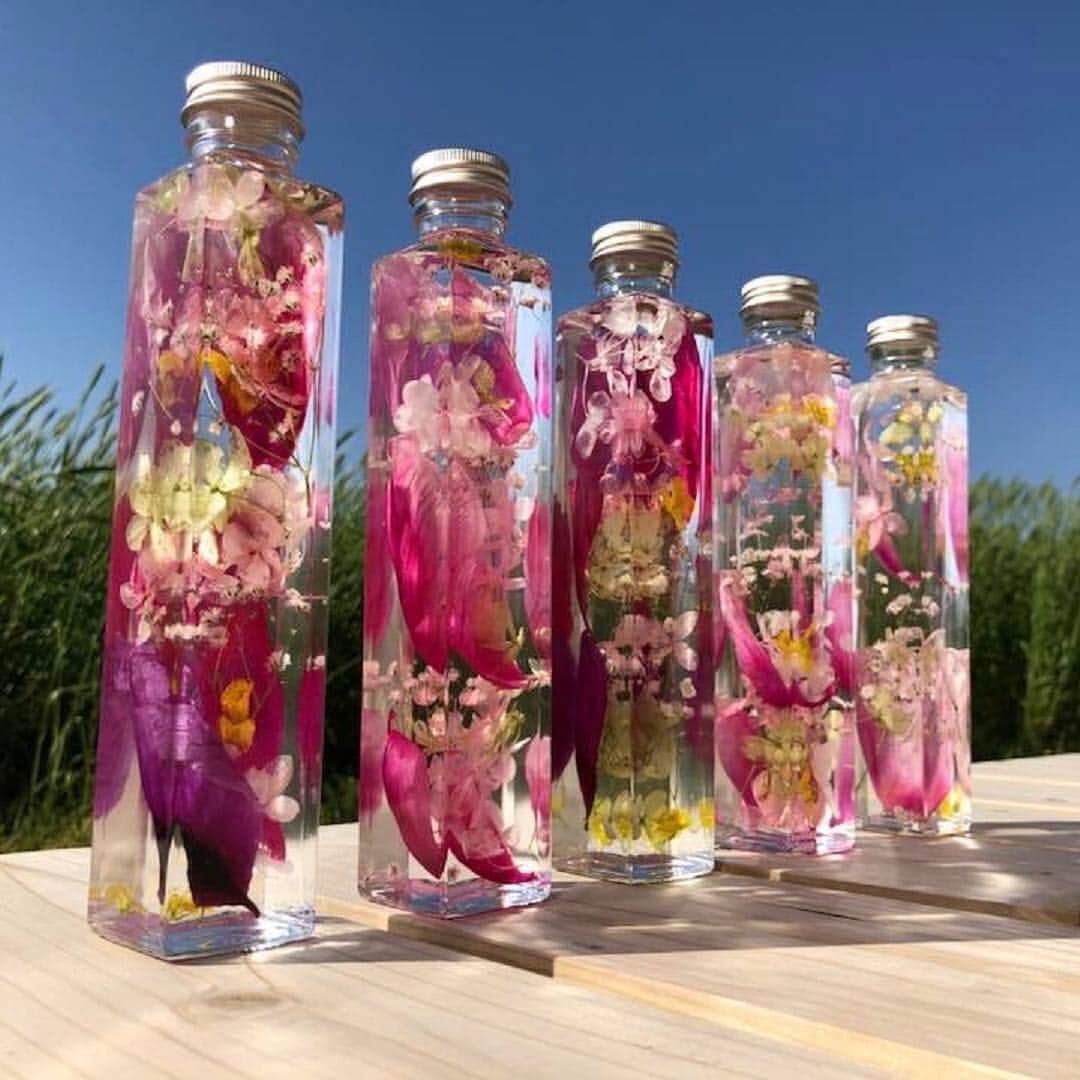 松江女子旅さんのインスタグラム写真 - (松江女子旅Instagram)「＼大根島でとっておきの体験を💛／ : 大根島は日本一の牡丹の産地。 「ココリト大根島」では、大根島の牡丹を使った、華やかで可愛らしいハーバリウムを作れちゃいます😍 ボトルも球型に加え、四角瓶かウィスキーボトルからもう１つ選んで計２つ作れます✨ 牡丹の鮮やかさが映える世界で1つのハーバリウム✨旅の記念に、思い出に・・・💛 : 日程： 毎週　木・金・土・日・祝日開催 時間：14:30～16:30 定員：各日程 6名 場所：ココリト大根島　電話：0852-67-1533 (島根県松江市八束町遅江465番地1） 体験料：￥3500（税込￥3780） : ココリト大根島 @cocoreto__ #ココリト大根島 #大根島 #八束町 #ハーバリウム体験  #松江女子旅 #松江 #春休み #松江観光 #島根旅行 #女子旅」3月20日 12時38分 - matsuejoshitabi