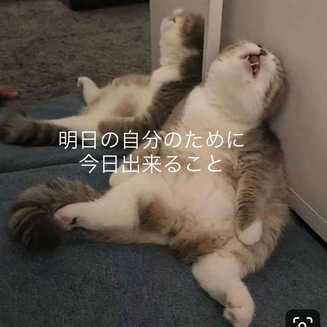 y1735kのインスタグラム：「ヨガでは、『今』の呼吸、身体に意識を向ける事がとても大事とされていますね。 ・ 普段、レッスンでは心のヨガ的な部分はあまり多く語らないのですが、私のモチベーションの１つにもなっているので、紹介しますね。 （以下 こころのヨーガ 1部抜粋） ・・・・・・・・・・・・・ ・ 『回避できるのは未来の苦しみです』  今日の自分は昨日までの自分の結果です。 昨日までどう生きてきたか どういう意識を持っていきてきたか 何をしてきたかの結果として今日存在しています。 ・ 昨日お酒を飲んだ結果として今日二日酔いになっています。 昨日食べたものが今日、結果として体と心に影響を与えています。 ・ けれど昨日のことはもうどうすることもできません。変えられないのです。 ・ 過去を原因とした結果として今日の苦しみは回避できないけれど、今日（今現在）からの行為の結果として起きる明日の苦しみは今日の生き方で回避できるのです。 ・ ということは、今日（今）がとっても大切です。 ・・・・・・・・・・・ 🍡 昨夜、お饅頭をあてに ハイボール二缶飲んだ私、、とってもよくわかります。 ・ 寝つきは悪くなるし、トイレで目覚め、体脂肪率も少し増えてたし、、あぁ、お酒飲まなきゃよかったなと 夜中に後悔。朝もスッキリしない。 ・ トホホ 状態ですが、 明日の心地良い身体と心のために、今日、今出来ることをします。」