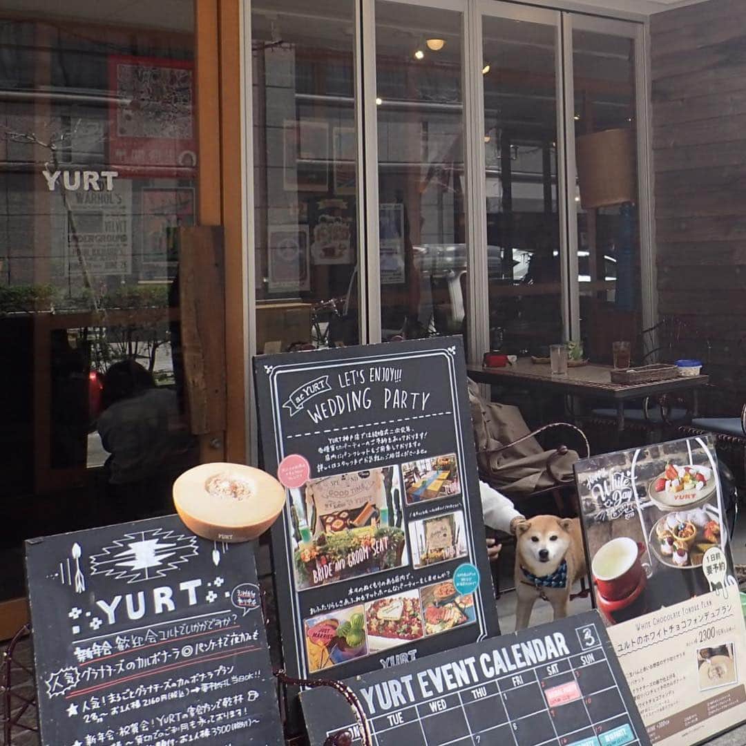 がんちゃんのグルメインスタ