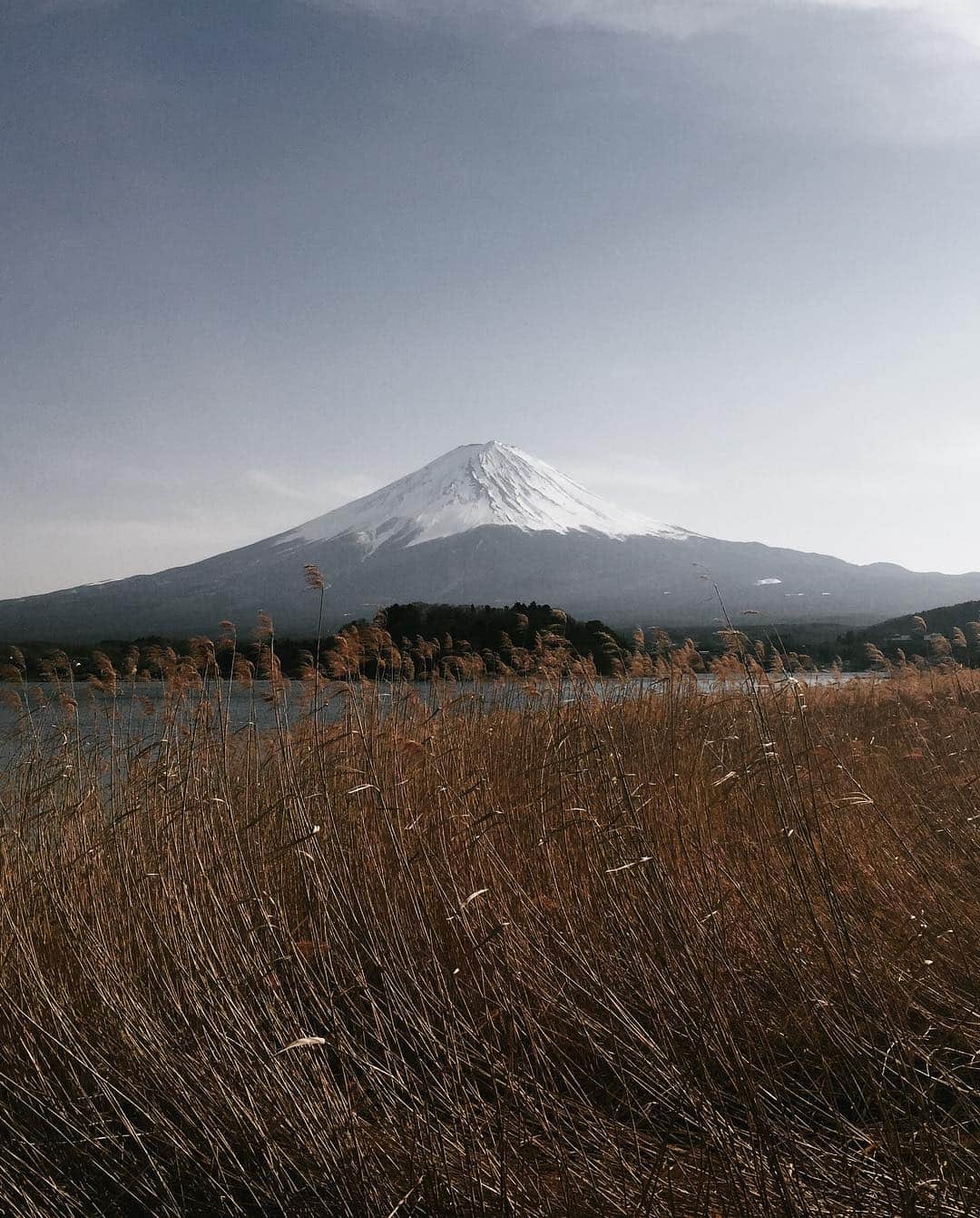 のインスタグラム：「. . Cream Mountain . . ::」
