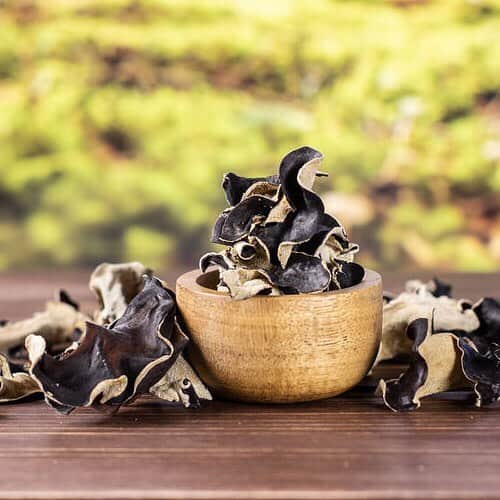 タマチャンショップ都城本店のグルメインスタ