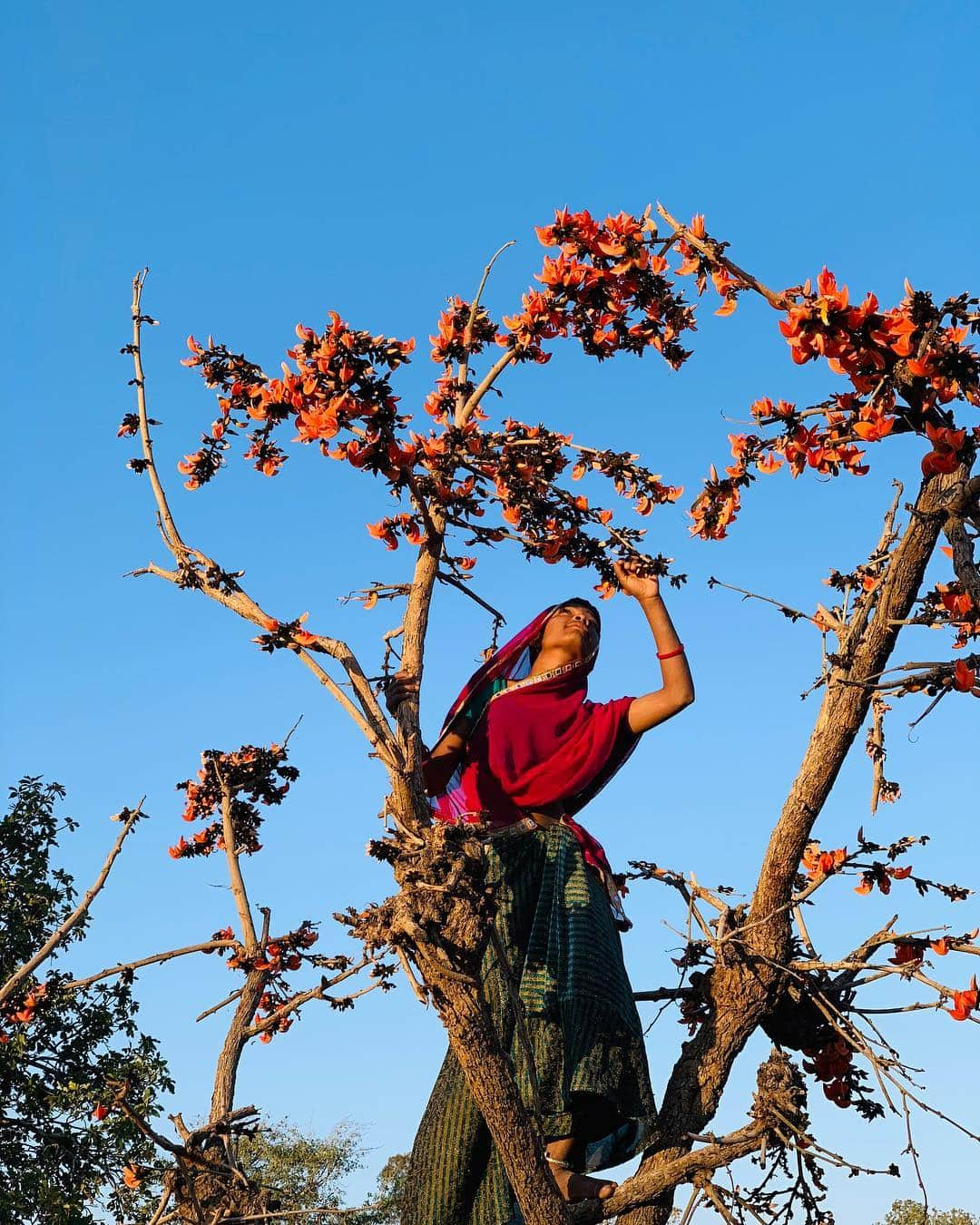 appleさんのインスタグラム写真 - (appleInstagram)「Commissioned by Apple. "Holi is both the celebration of the colors that nature provides and the women from Udaipur who bring it to life. Their preservation of the traditional methods — creating these vibrant powders from delicate flowers, fruits and trees — is truly something to cherish.” #Holi #ShotoniPhone by Indrajit K. @indrajitkhambe」3月20日 22時44分 - apple