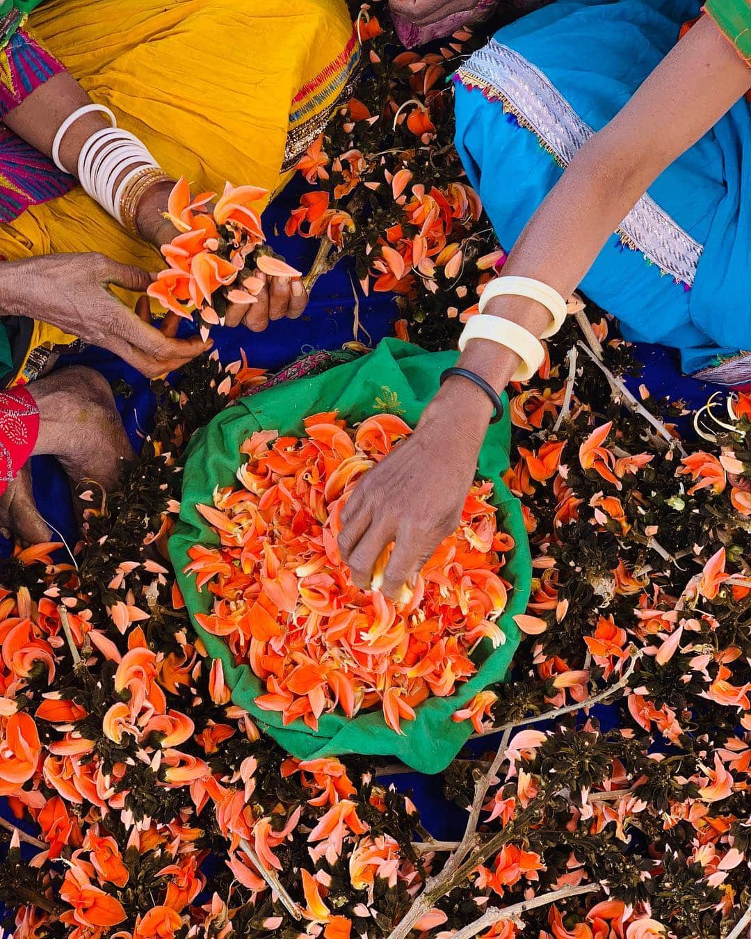 appleさんのインスタグラム写真 - (appleInstagram)「Commissioned by Apple. "Holi is both the celebration of the colors that nature provides and the women from Udaipur who bring it to life. Their preservation of the traditional methods — creating these vibrant powders from delicate flowers, fruits and trees — is truly something to cherish.” #Holi #ShotoniPhone by Indrajit K. @indrajitkhambe」3月20日 22時44分 - apple