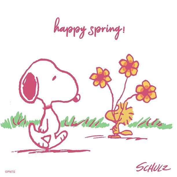 スヌーピーさんのインスタグラム写真 - (スヌーピーInstagram)「Happy first day of Spring! 🌼」3月20日 22時52分 - snoopygrams