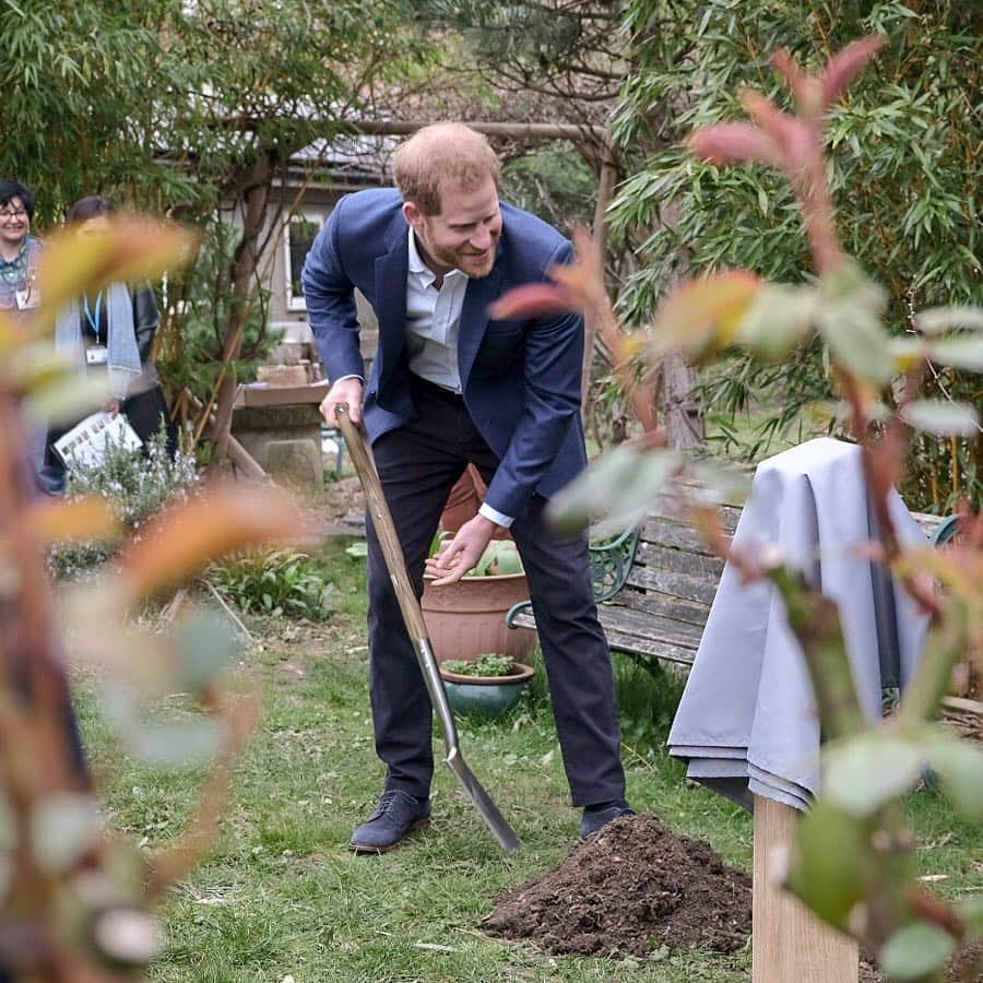 ウィリアム（ケンブリッジ公）さんのインスタグラム写真 - (ウィリアム（ケンブリッジ公）Instagram)「The @QueensCanopy is a conservation initiative, uniting the Commonwealth family of nations in creating a global network of indigenous forests to benefit communities and wildlife, now, and into the future.  Visit @TheRoyalFamily to see The Duke of Sussex join children from St Vincent’s Catholic Primary School in Acton to take part in a tree planting in support of The Queen’s Commonwealth Canopy, together with the @WoodlandTrust. #QueensCommonwealthCanopy #Commonwealth」3月20日 23時37分 - princeandprincessofwales