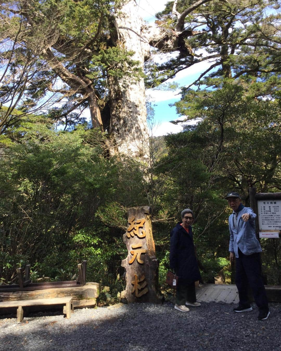 鳥越俊太郎さんのインスタグラム写真 - (鳥越俊太郎Instagram)「屋久島の樹齢3000年の紀元杉の前で澤地さんと「憲法９条を守る会」会長、桑山善右衛門さん。」3月20日 15時07分 - shun.torigoe