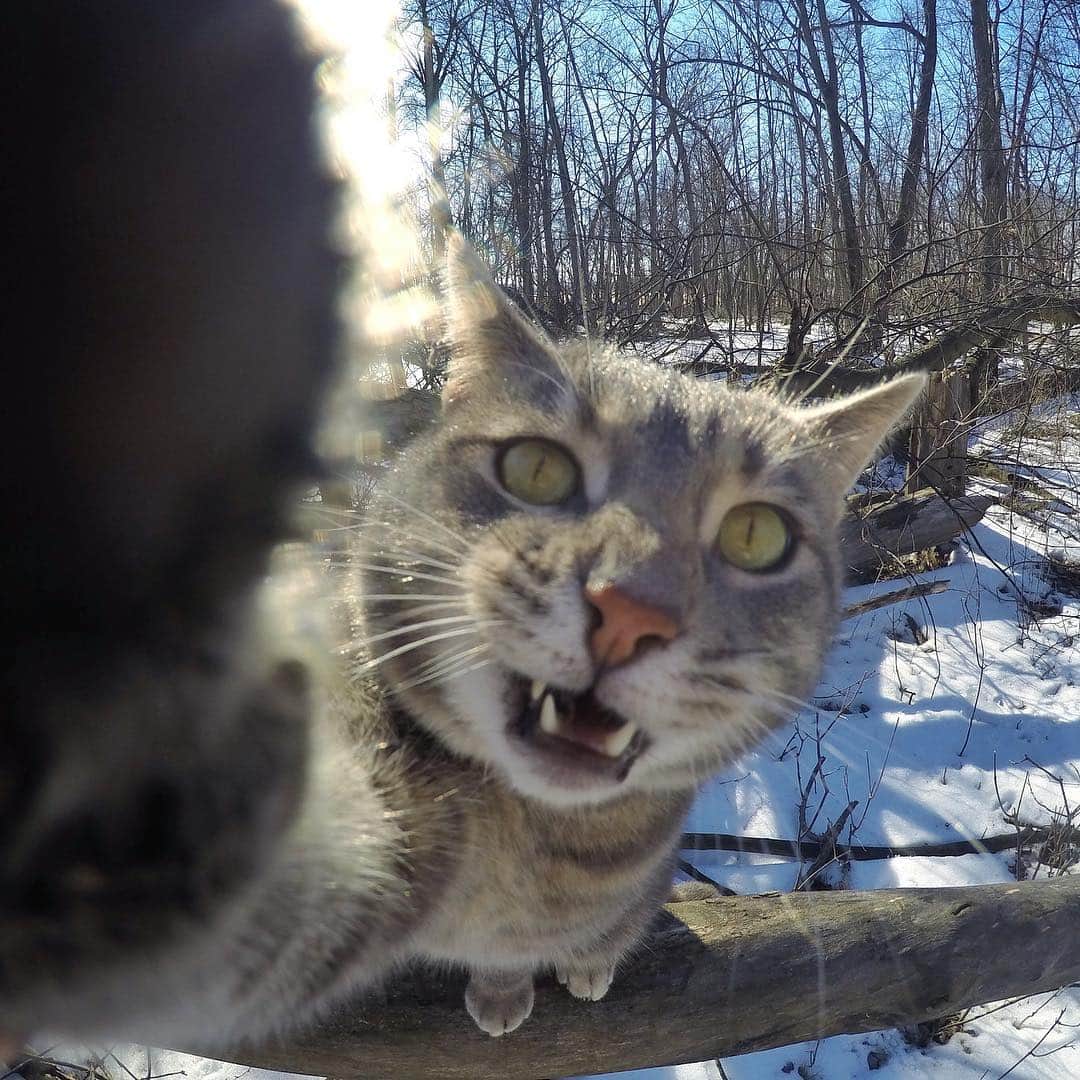 マニーのインスタグラム