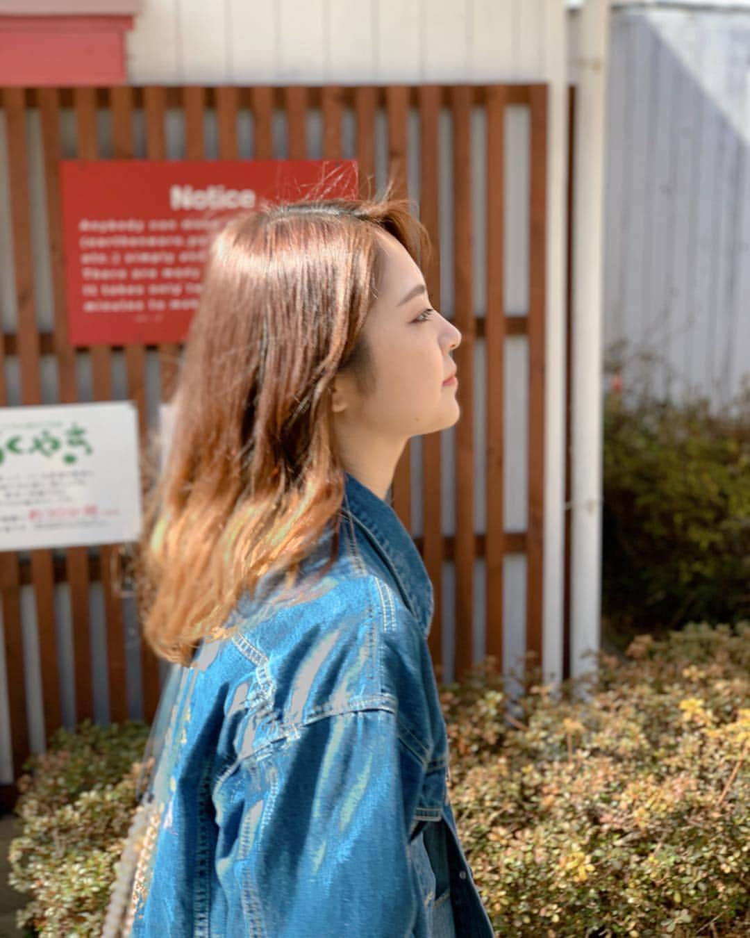 のインスタグラム：「新しい季節がやってくる  #宮脇詩音 #シェアザハッピー」