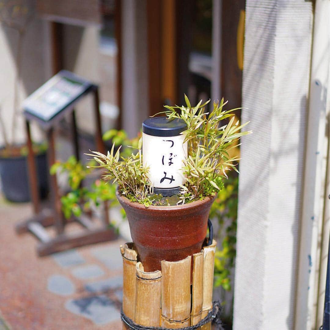寿春花果さんのインスタグラム写真 - (寿春花果Instagram)「旅行中、同期から連絡があり教えてくれた穴場の甘味屋さん🍡 私は大好物のわらび餅を食べました😋 美味♡ . #金沢#つぼみ」3月20日 15時55分 - hanaka_yu