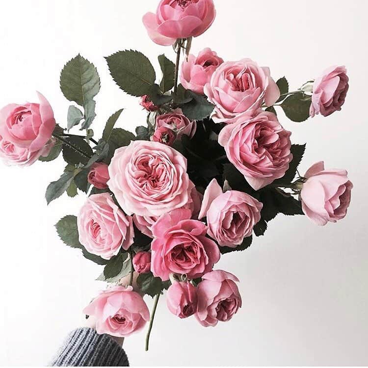 TRILL公式編集部アカウントさんのインスタグラム写真 - (TRILL公式編集部アカウントInstagram)「@jane.florist さんのお花です♡ ピンクの薔薇は大人にも似合いますね🌷 @jane.florist さんのアカウントのお花は、全部素敵なので是非フォローしてみてください💗 . . #TRILL #トリル #bloomingswan #flowers #rose #flowerlesson #flowerstagram  #花束 #フラワー #花 #フラワーアレンジメント #フラワーデザイン#花のある暮らし #ピンクの花  #お花  #フラワーギフト  #フラワーアート  #ピンクのバラ #春色 #ギフト #大人可愛い #生花 #薔薇 #バラ」3月20日 15時55分 - trill