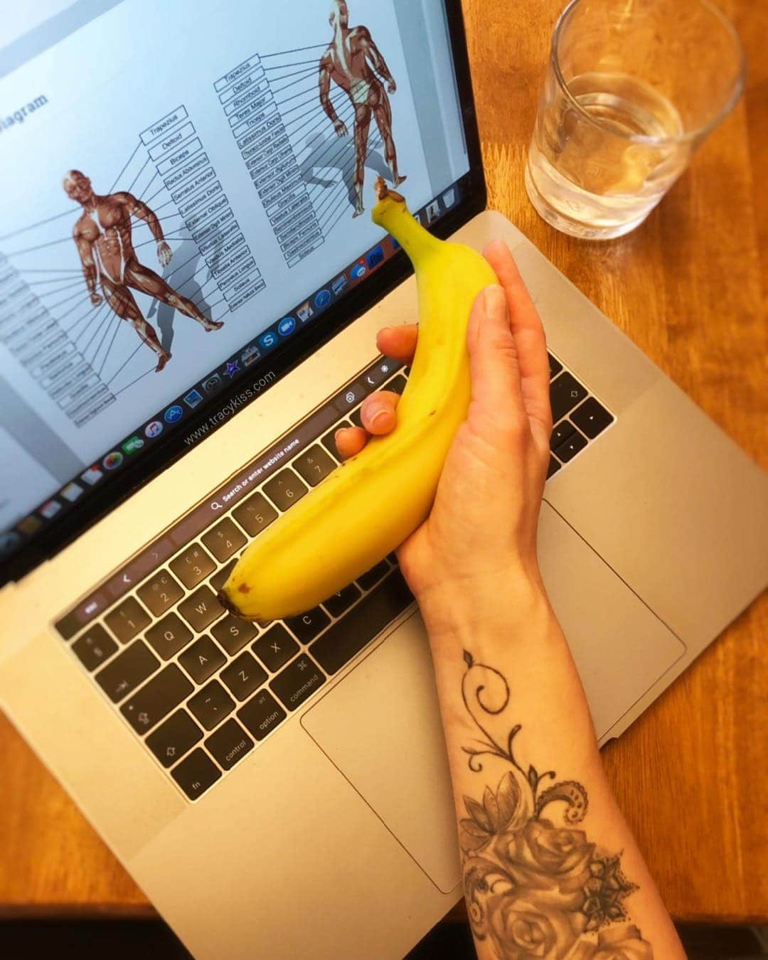 トレーシー・キスさんのインスタグラム写真 - (トレーシー・キスInstagram)「I’m starting my day immersed in my studies to deepen my understanding of health and fitness and prepare for my next exams with @origym_coe . When did you last learn something new my darlings? ------------------------ #student #studies #studying #exams #tracykiss #girlswithmuscles #bodygoals #femaleempowerment #muscles #booty #tattoo #healthy #bodytransformation #inspiration #wcw #motivation #ootd #fashion #weightloss #fitness #weightlossjourney #girlpower #thick #ootn #lotd #veganism #girl #gym #bodybuilding #vegan」3月20日 16時17分 - tracykissdotcom