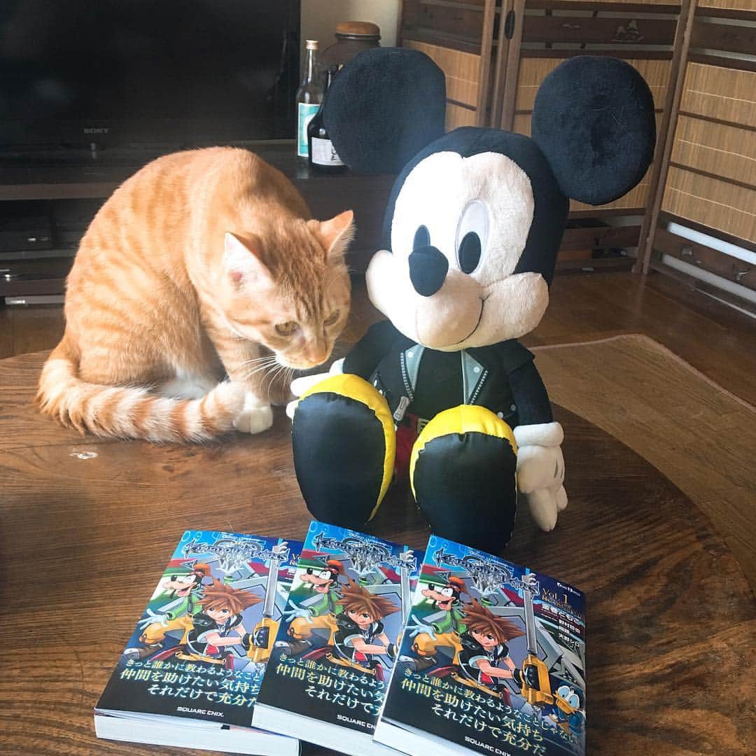 のインスタグラム：「『小説 キングダム ハーツIII Vol.1 Re:Start!!』の見本誌が届きました。3/28発売！ 3/28は『キングダム ハーツ』発売17周年の日だよー！ あれから17年か！ よろしくお願いいたします。 https://store.jp.square-enix.com/item/9784757560802.html #キングダムハーツ #キングダムハーツ3 #kingdomhearts #kingdomhearts3 #ミッキーマウス #キングダムハーツ1番くじ #kurohakuchai #tabby #orangetabby #cat #猫 #茶トラ #mickymouse」