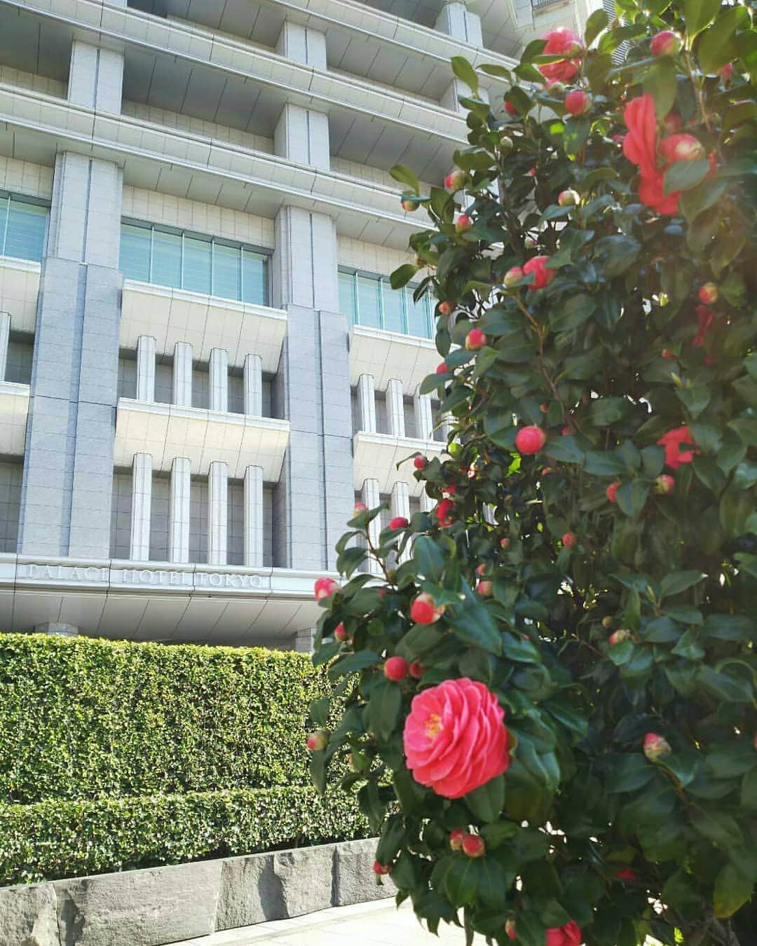 Palace Hotel Tokyo / パレスホテル東京のインスタグラム