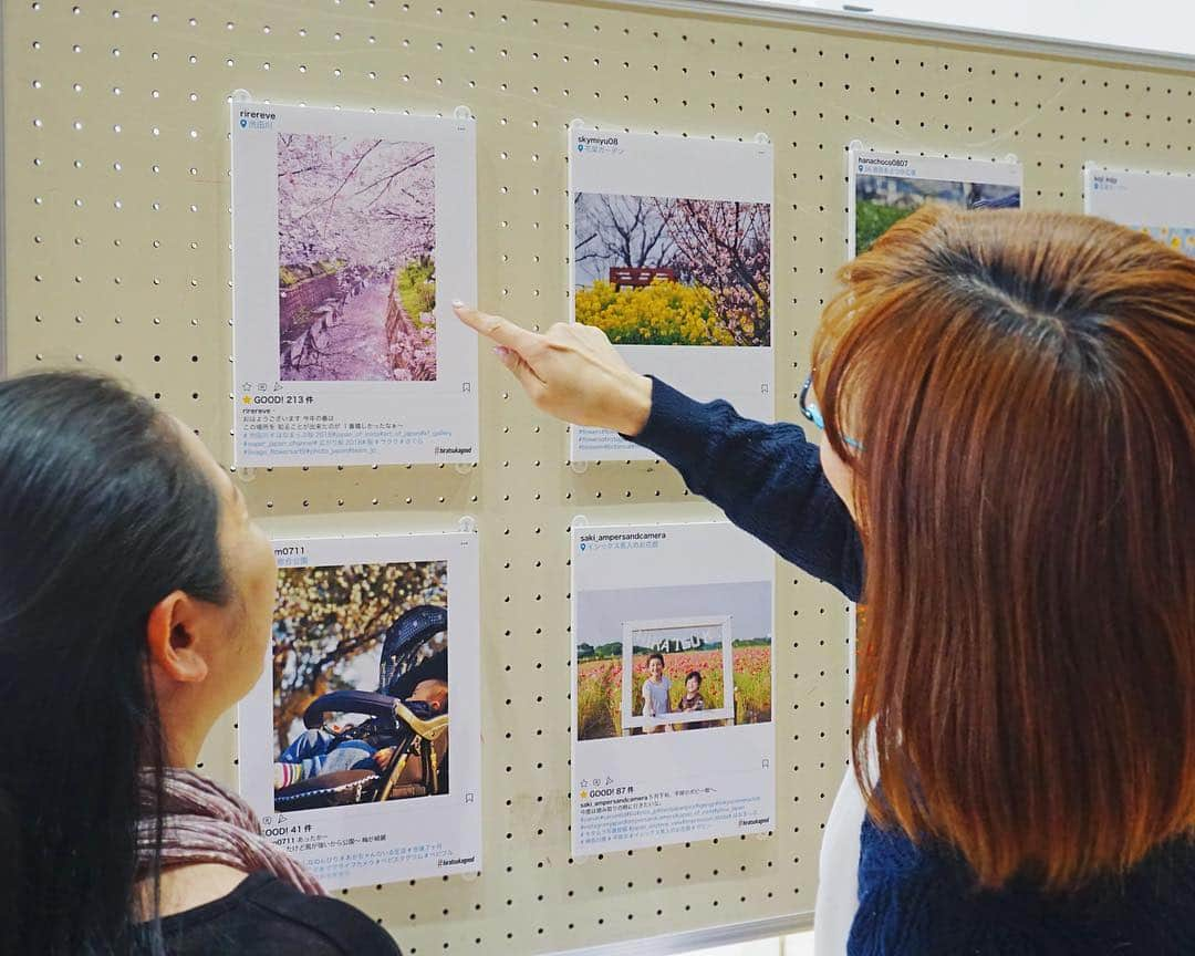 平塚市のインスタグラム