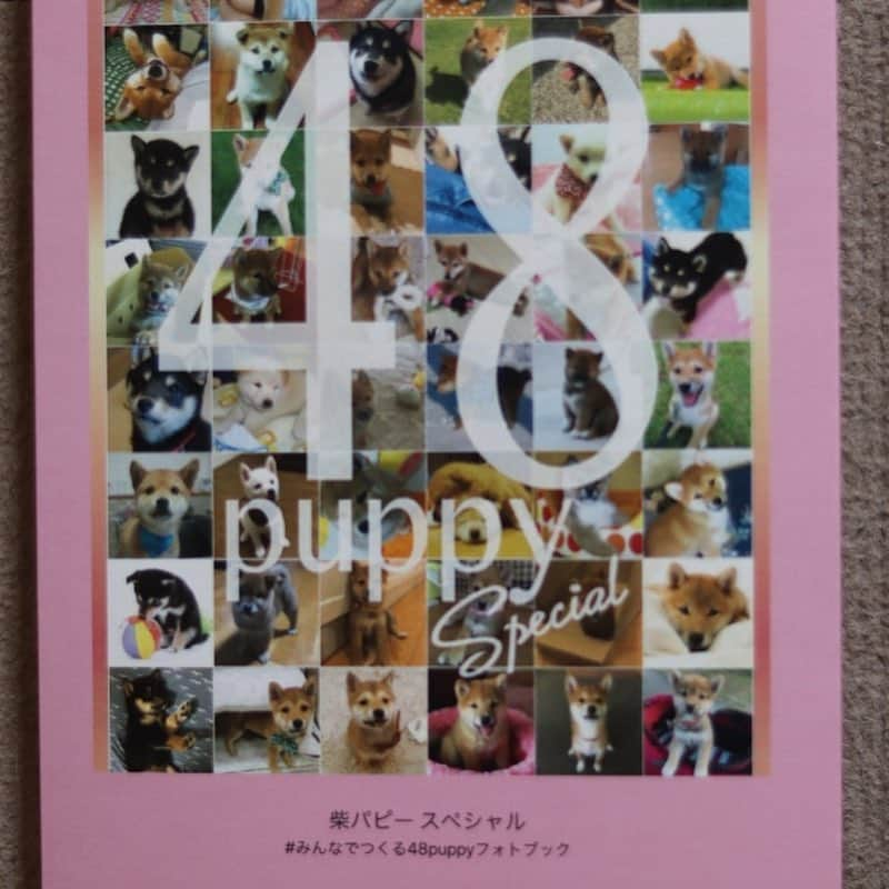 linnmamaさんのインスタグラム写真 - (linnmamaInstagram)「48puppy Special 届いたよ💖〜スワイプしてね😊〜①みんなと記念撮影📷〜②可愛いピンクの表紙💕〜③48puppy に選んでいただいた翔と麗❤️〜④凜と純も載ってるよ😍ごめんね🙇‍♀️、純のお顔が切れちゃった😰〜水色の表紙のフォトブックはまだ届いてないよ😅  #柴犬#dog#柴犬凜の勇気凜々every day#shibastagram#みんなでつくる48puppyフォトブック#みんなでつくる48puppyフォトブックspecial」3月20日 17時04分 - linnmama