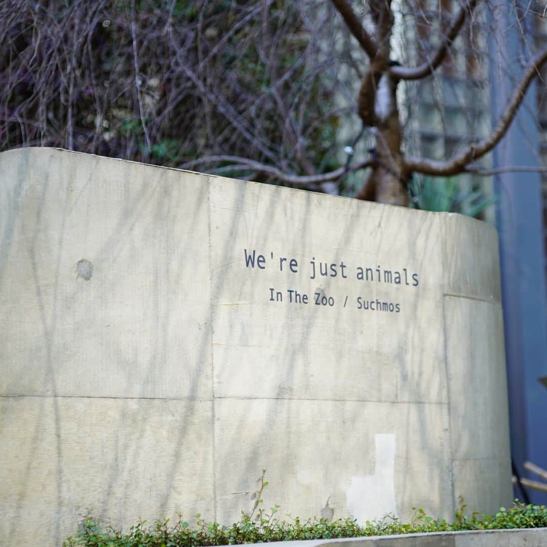 のインスタグラム：「​​We're just animals⁣  #Suchmos #THEANYMAL #InTheZoo⁣ #ginzasonypark #銀座ソニーパーク #GS89」
