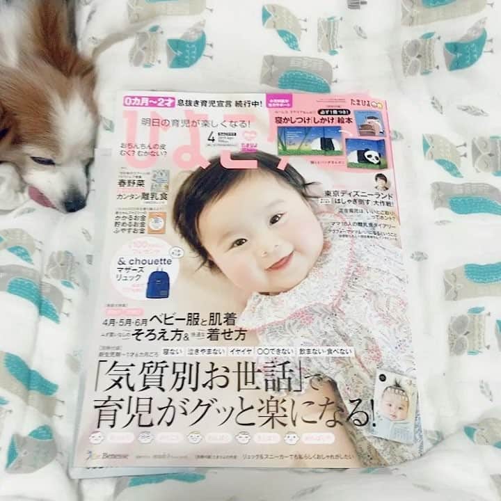 のインスタグラム：「4月号「ひよこクラブ🐣」さんから授乳スタイルについて取材をら受けました🌷 可愛い赤ちゃんだらけで👶❤️✨見ているだけで、ニヤニヤしちゃうハッピーマガジン♡♡♡ ぜひ🌟皆さん見てくださいね🎀 4月号を買うと、寝かしつけ「しかけ」絵本が付いてきます🌷✨これは嬉しいですね🎶 自分が読んで寝ちゃうかもしれない😅💦😴🌼 #ひよこクラブ #佐藤康恵 #二児の母 #mama #さとうやすえ #yasuesato #actress #model #授乳 #育児 #付録 #絵本 #ねんねしてるのだ〜れ？」
