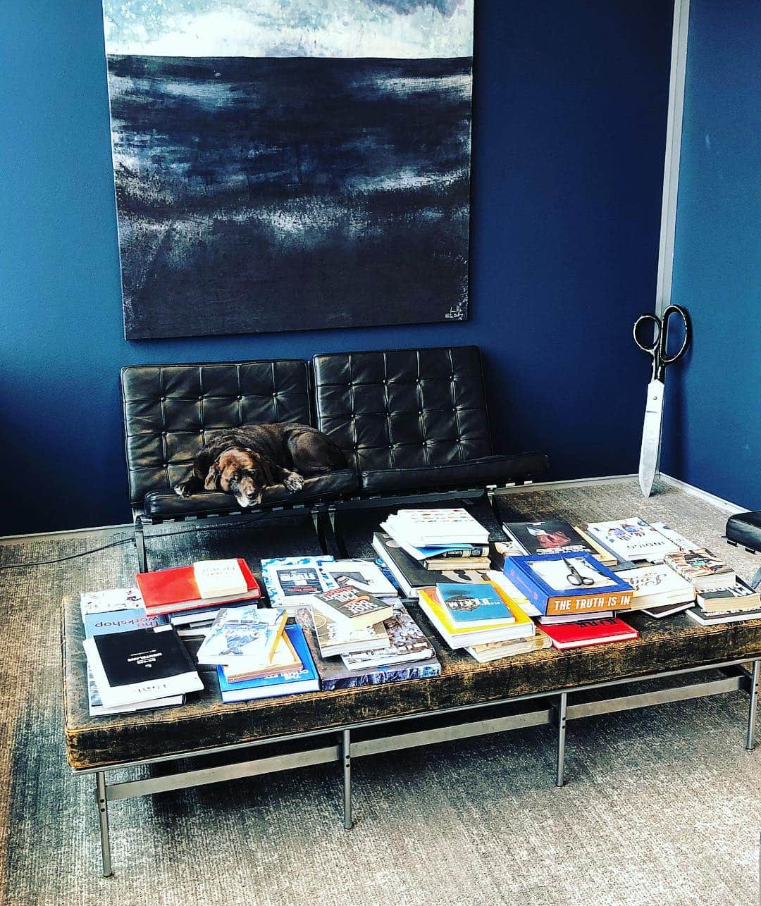 デンハムさんのインスタグラム写真 - (デンハムInstagram)「Norton found the Barcelona chairs today. Sleeping in my blue library. #denham #dog #norton #labrador #denhamthejeanmaker #jasondenham #indigo #barcelonachair #blue #library #thetruthisinthedetails ✂️」3月20日 17時29分 - denhamthejeanmaker