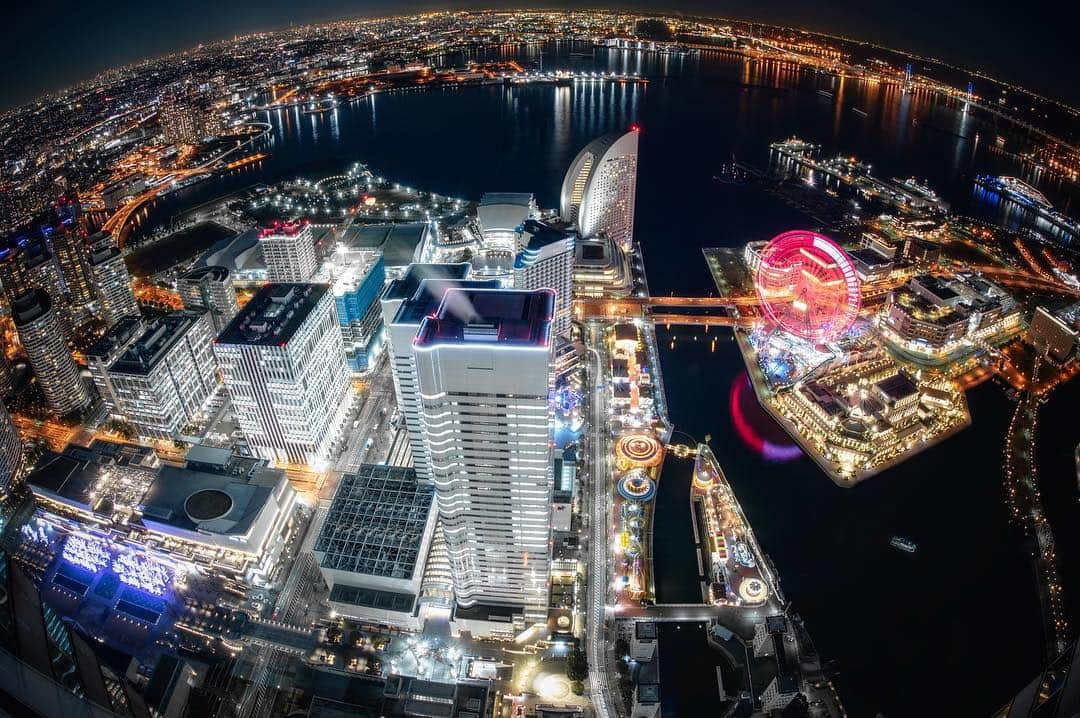 横浜市さんのインスタグラム写真 - (横浜市Instagram)「Today's the #InternationalDayofHappiness. We think this shot is appropriate 😊 #myokohama」3月20日 17時37分 - findyouryokohama_japan