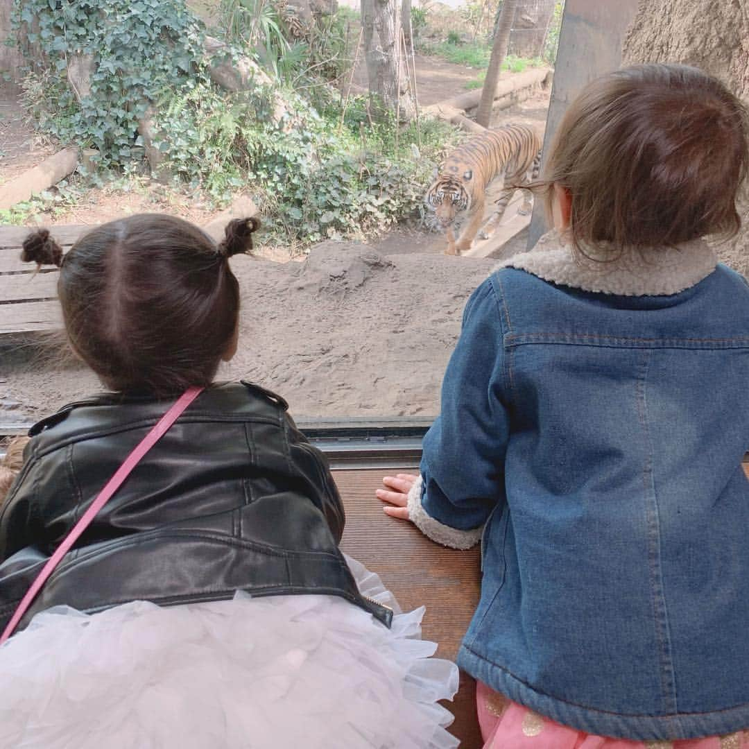 水野佑香さんのインスタグラム写真 - (水野佑香Instagram)「ここ数日、お天気がよくて気持ちいい東京👍💕﻿ ﻿ ﻿ 休みが取れたのでママ友でインスタグラマーの @kagomika  と上野動物園に親子デートしてきたよ🐼💕﻿ ﻿ ﻿ まだ花見🌸じゃないし、﻿ 春休み前の平日だったから﻿ ほどよい混み具合で最高☺️✨✨✨﻿ ﻿ ﻿ 動物たちもあったかくて元気よくて、﻿ カワウソの気持ち良さそうな顔😴﻿ ﻿ ﻿ 個人的にはスローロリスとパンダとゴリラが﻿ 可愛くてテンションあがったよ🐼💕﻿ ﻿ ﻿ チビりんとみか姫ちゃんも楽しんでました💕﻿ ﻿ 月齢近い同学年の子供同士って🙆‍♀️﻿ ﻿ みか姫ちゃんのポポちゃんが﻿ カラスに誘拐されそうになる事件は﻿ ビックリして笑撃だった🤣🤣🤣笑﻿ ﻿ ﻿ 動物園の後はアメ横で﻿ ビール&アジアフードで🍻💕﻿ ﻿ 子供たちはフルーツ串を食べて﻿ 親子デート最高すぎた❤️( ˘ ³˘)❤﻿ ﻿ ﻿ それにしても美女とアメ横とビール、﻿ 私のファインダー越しに見て最高の画📲﻿✨✨✨ ﻿ ﻿ 思わず、ポートレートで撮りました（笑）﻿ ﻿ ﻿ ほろ酔いで帰宅してしあわせな1日だったよ〜💕﻿ ﻿ ﻿ #上野動物園 #上野動物園パンダ #パンダ #シャンシャン #上野 #uenozoo #東京 #ueno #親子でおでかけ #テーマパーク #水野祐香 #Editor #youtuber #model #director #ワーキングママ #ママ  #アラフォー  #アラフォーモデル #39歳 #ゴングロ三兄弟 #加齢に負けず華麗に生きる」3月20日 17時47分 - mizuno_yuka