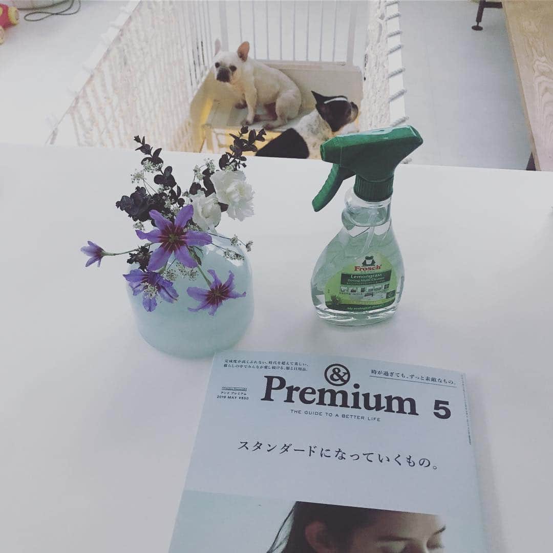 のインスタグラム：「@and_premium 5月号 ○スタンダードになっていくもの。  sustainable days by frosch のページに木湖と登場しています🥰  Frosch の食器用洗剤にfor baby が出たのよ。(写真はリビング用のスプレー)早速 新米ママたちにプレゼントしてる。  #フレンチブルドッグ #インテリア #赤ちゃんのいる生活」