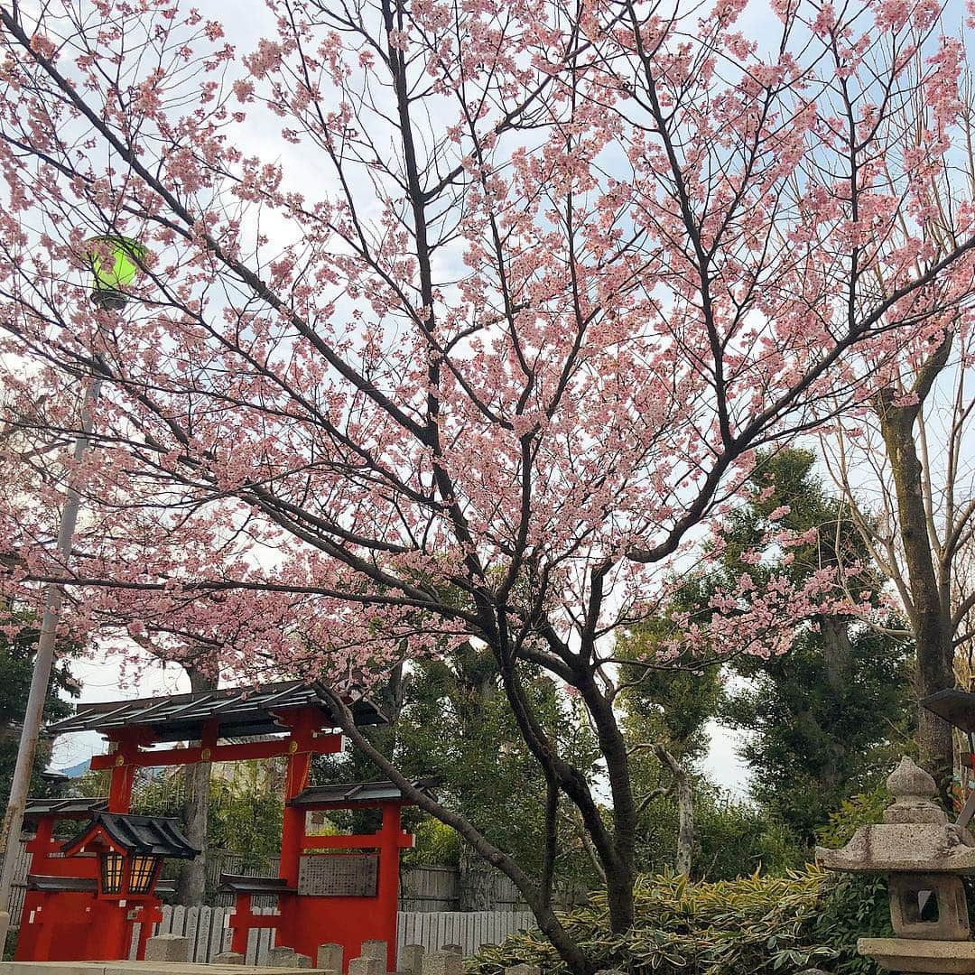 DAISHI DANCEさんのインスタグラム写真 - (DAISHI DANCEInstagram)「#KYOTO #京都 #車折神社 #芸能神社 #POWERSPOT #パワースポット 桜咲いてました🌸」3月20日 18時14分 - daishidance666