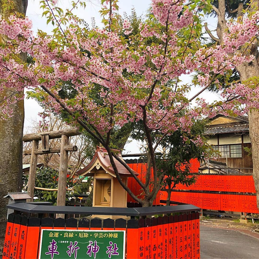 DAISHI DANCEさんのインスタグラム写真 - (DAISHI DANCEInstagram)「#KYOTO #京都 #車折神社 #芸能神社 #POWERSPOT #パワースポット 桜咲いてました🌸」3月20日 18時14分 - daishidance666