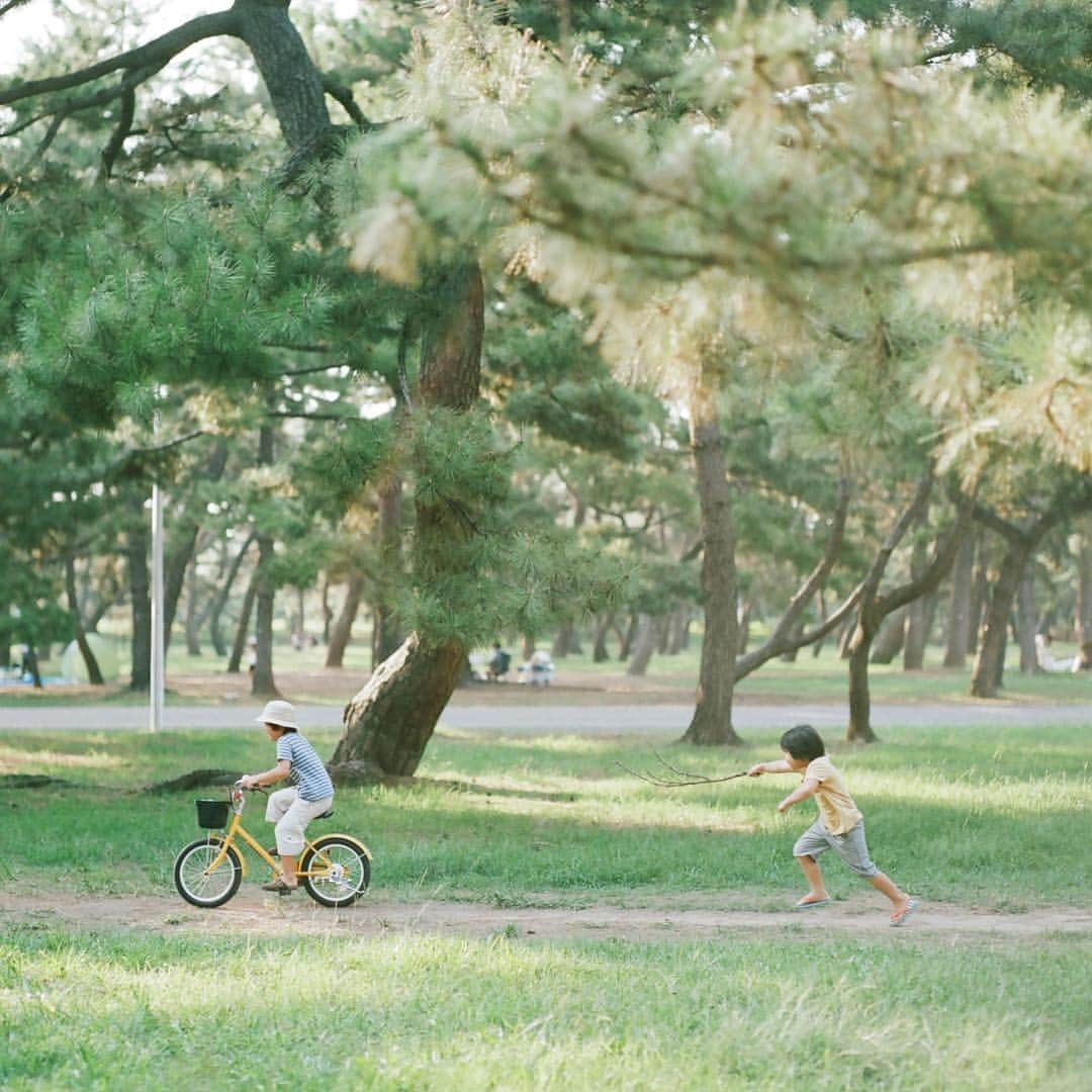 濱田英明さんのインスタグラム写真 - (濱田英明Instagram)「Thank you for the 10 years! from the classics, 2012-2014 #haruandmina #pentax67」3月20日 18時29分 - hamadahideaki